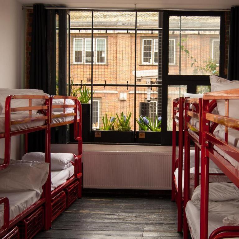 Bett im gemischten Schlafsaal mit 12 Betten