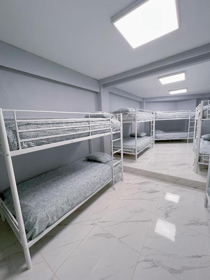 Bunk Bed in Mixed Dormitory Room,1480269428:JPEG