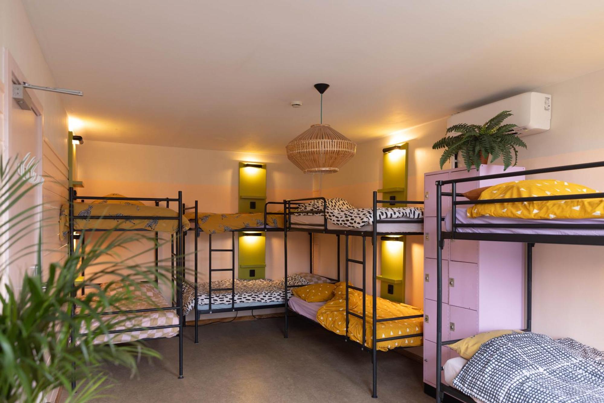 Bunk Bed in Female Dormitory Room 8 beds