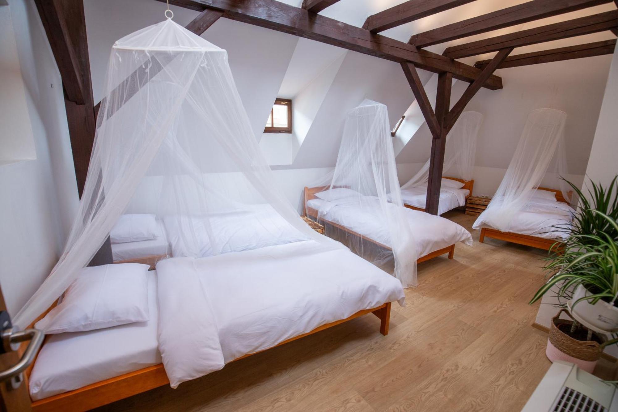 Bett im Frauenschlafsaal mit 6 Betten
