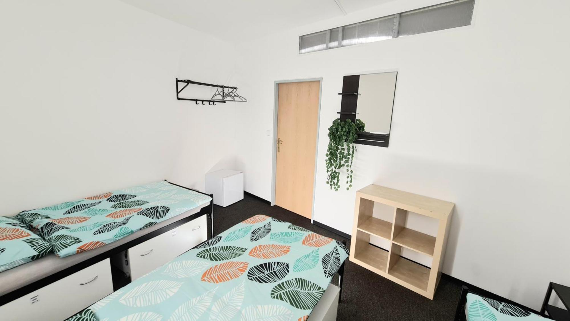 Triple Room with Shared Bathroom,1591279794:JPEG