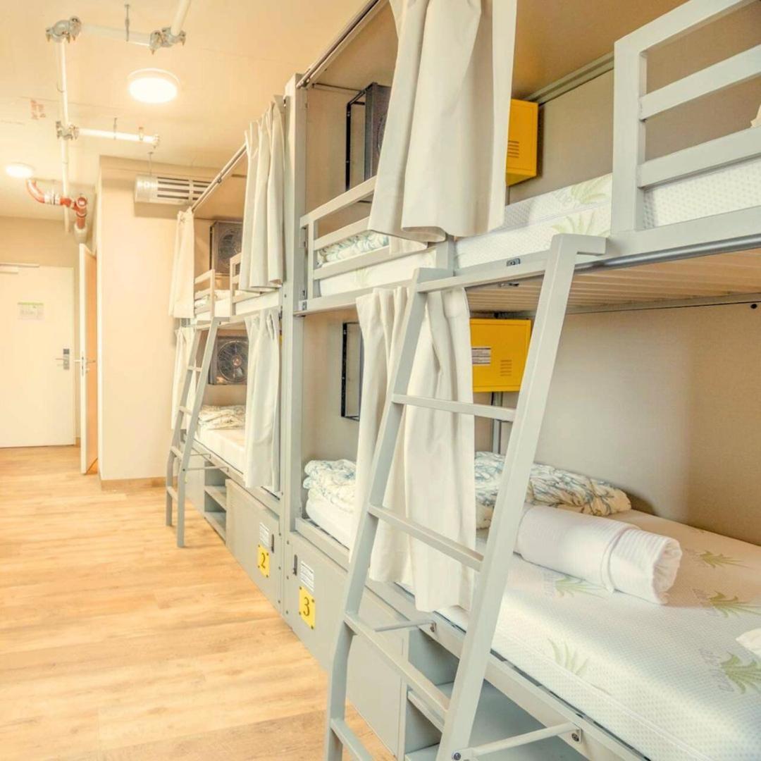 8-Bed Mixed Dormitory Room