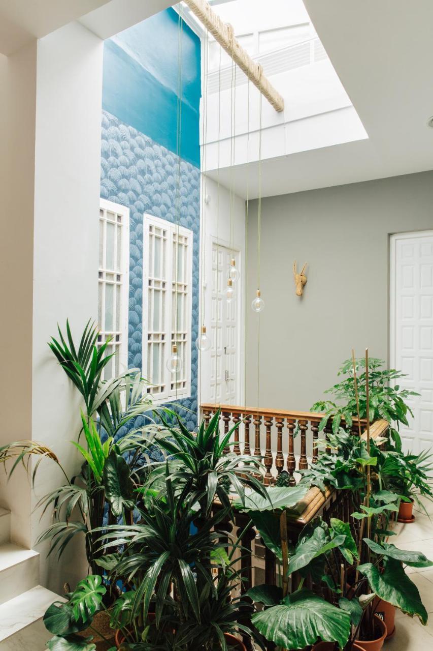 Bett im gemischten Schlafsaal mit 8 Betten und Balkon