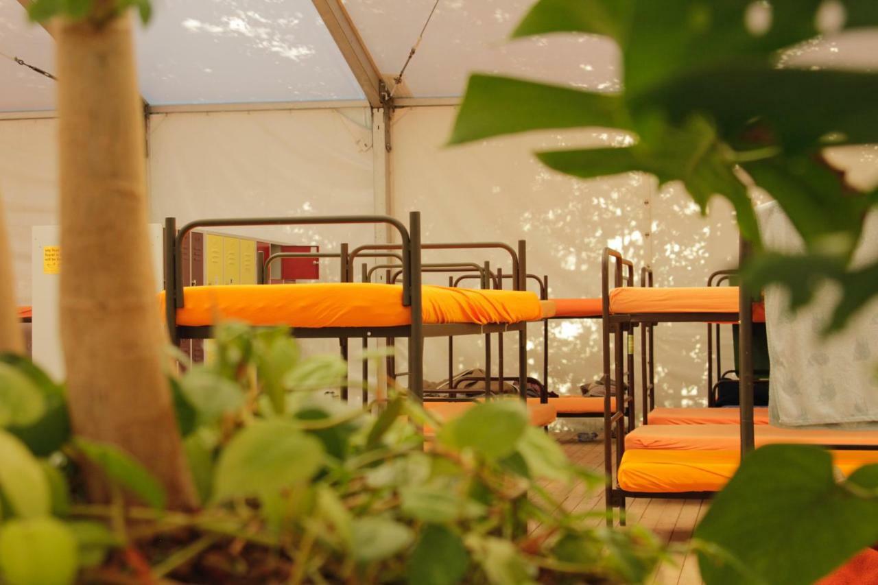 Bunk Bed Mixed Dormitory Tent