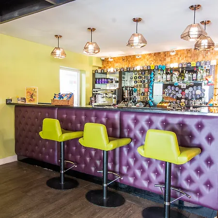 Safestay London Kensington Holland Park (Adults Only)-2