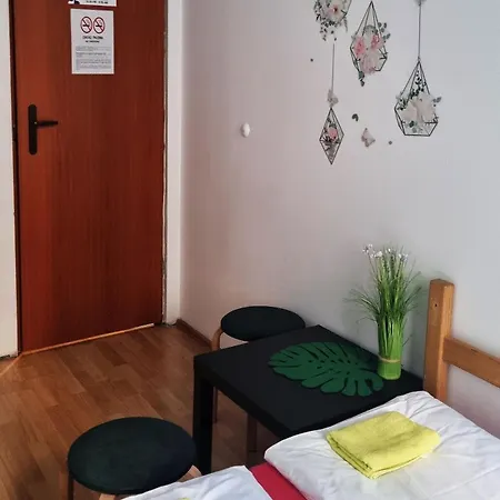 Green Cat Rooms-3