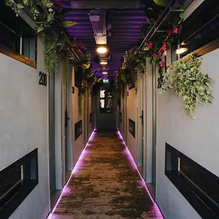 This HoTel-2