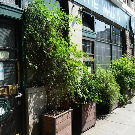 The Walrus Bar And Hostel-3