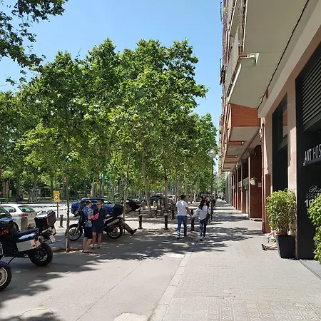 Ant Hostel Barcelona-3