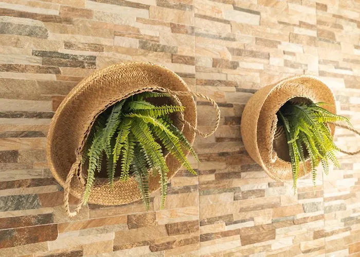 Picnic Dreams Boutique Hostel Málaga